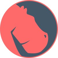 SavvyHippo logo - Similar company to Swyft Sites