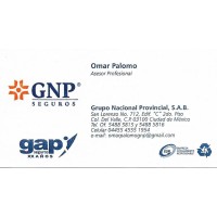 Omar Palomo GNP Seguros logo - Similar company to Meu Corretor Seguros