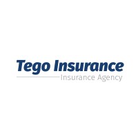 Tego Insurance logo - Similar company to Tego