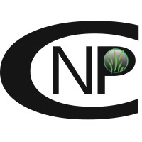 New Prospect Consulting logo - Similar company to Vertex Project Solutions