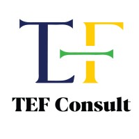 Tanzania Empowerment Forum Limited (TEF Consult) logo - Similar company to Idcg Engineering Group