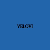 Velovi logo - Similar company to Closingclients.Io