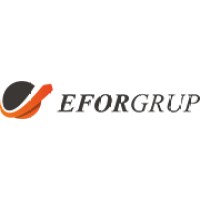 EFOR GRUP logo - Similar company to Sadolins