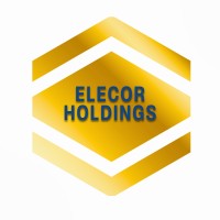 Elecor Holdings, LLC logo - Similar company to Elecor, Inc.