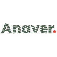Anaver; ANAlyse en VERandering logo - Similar company to Inventit