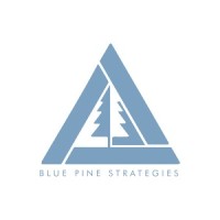 Blue Pine Strategies logo - Similar company to Communityred