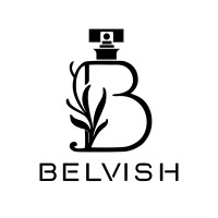 Belvish International logo - Similar company to Ctrl Plus Z