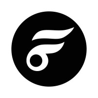 FalconXoft logo - Similar company to Codenax