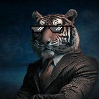 Tiger Track Productions logo - Similar company to Al Karam Traders