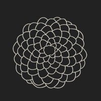 Pinecone Labs