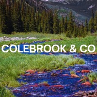 Colebrook & Co. logo - Similar company to Group Sozo