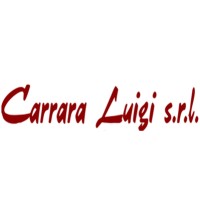 CARRARA LUIGI SRL logo - Similar company to Bianchi E Colli