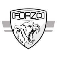 FORZO Watches logo - Similar company to Alsta