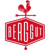 Berggut logo - Similar company to Linkup