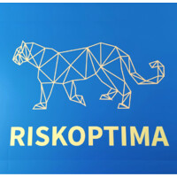 RiskOptima WealthTech Corp. logo - Similar company to Defterhane Blockchain Protocol