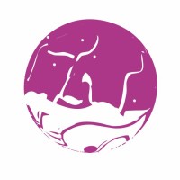 Ordixy Studios logo - Similar company to Pse Consultants Ltd Uk
