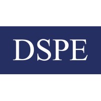 DS Private Equity logo - Similar company to Ds Asset Management