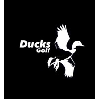Ducksgolf logo - Similar company to Infitech Gmbh