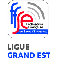 FFSE - LIGUE GRAND EST DU SPORT ENTREPRISE logo - Similar company to Adpep 51