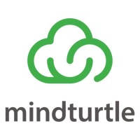 mindturtle logo - Similar company to Ude Global