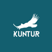Kuntur Chile logo - Similar company to Keveri