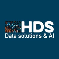 Horizon Data Solutions & AI logo - Similar company to White Label Wordsmith