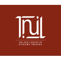 The New International Limo logo - Similar company to Driven Global Chauffeured