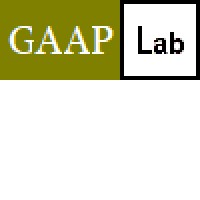 GAAP Lab logo - Similar company to Square Root Financial