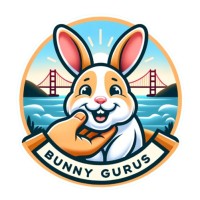 BunnyGurus logo - Similar company to Deepsafe Technology