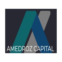 Amedroz Capital logo - Similar company to Lw Partners