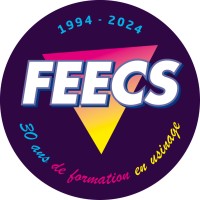 FEECS Le partenaire de l'usinage logo - Similar company to Techmo Satech
