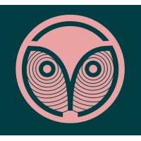 Mesmerist Studios logo - Similar company to Newflight