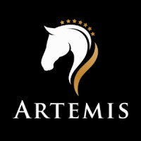 Artemis Horse Match
