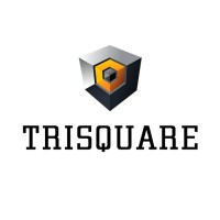 Trisquare Properties Private Limited logo - Similar company to Surya Spinners
