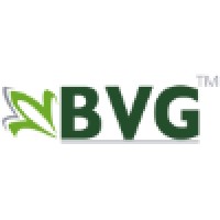 BVG Commodities logo - Similar company to Cjs Securities
