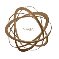 Naga Tech logo - Similar company to Nagatech