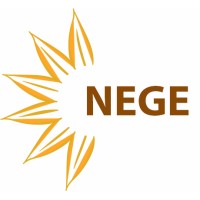 NegeTech logo - Similar company to Mech Pump Systems (Private) Limited