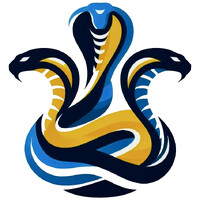 COBRAS Solutions logo - Similar company to Montecito Digital Llc