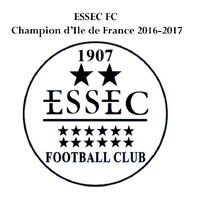 ESSEC Football Club logo - Similar company to 주간 실리콘밸리