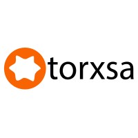 Torxsa logo - Similar company to Ecu Global