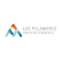 Minera Los Pelambres logo - Similar company to Rayrock