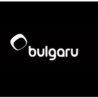Bulgaru logo - Similar company to Orange Education