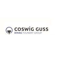 Walzengießerei Coswig GmbH logo - Similar company to Dr. Heger + Experten Gmbh