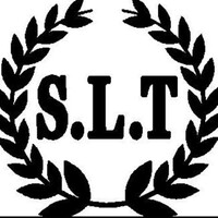 SLT-SALAMI LOGISTICS AND TRANSPORT logo - Similar company to Intercity Transport Logistics
