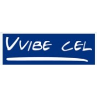 Vvibecel Sa De Cv