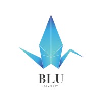 Blu Advisory logo - Similar company to Aka Gaminc.