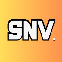 SNV Ventures - Startup Navigator For Visionaries logo - Similar company to Global Executive Solutions