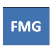 Fmg Llc