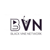 Black Vine Network logo - Similar company to Deilab