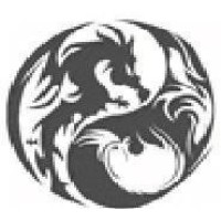 Dragon Rooster logo - Similar company to Milta Telecom Service